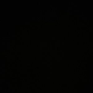 Meet your Posher, Nadine